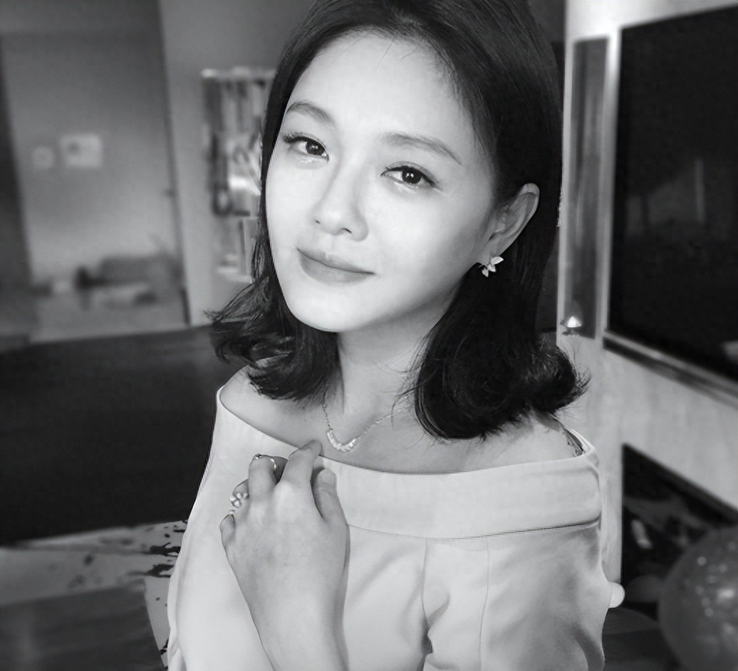 S家谎言曝光?包机公司犬象在黄春梅名下,小S任职工作室早已歇业