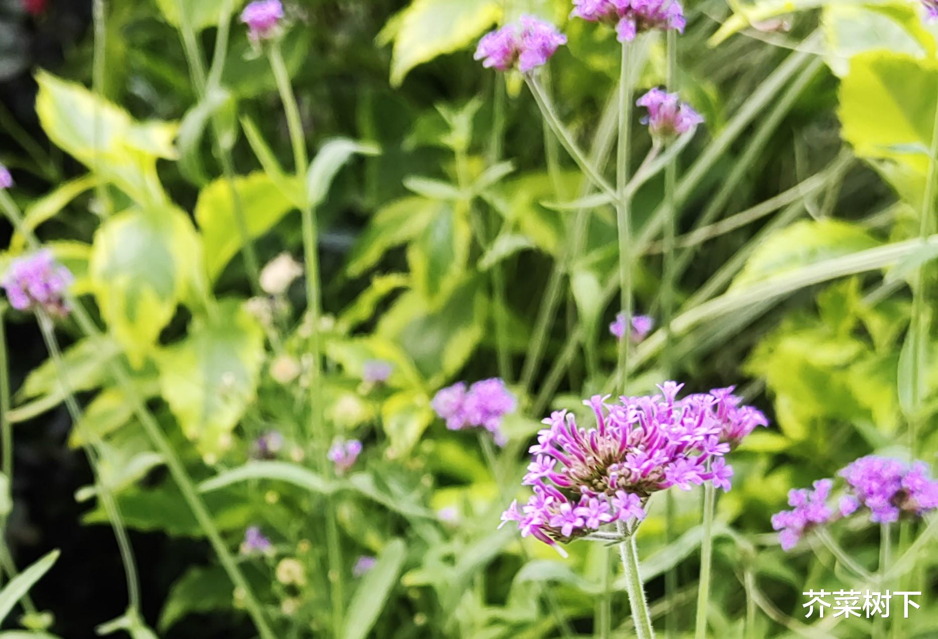 职场好沟通:你想理解,我理解