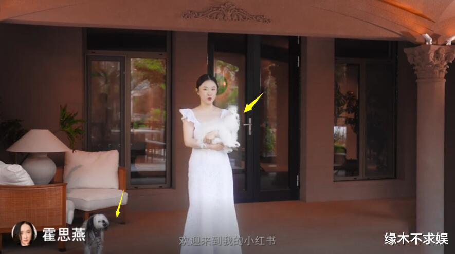 霍思燕一家阿那亚被偶遇,珍珠待遇超嗯哼,10岁嗯哼又高又瘦!