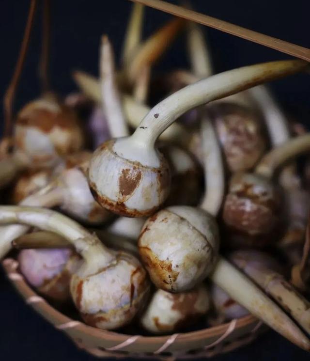 一天一件文物：北宋金包青金石慈姑叶耳环