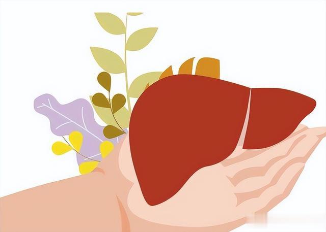 阳气生于脾、根于肾、发于肝！3个中成药，一次性解决阳虚！