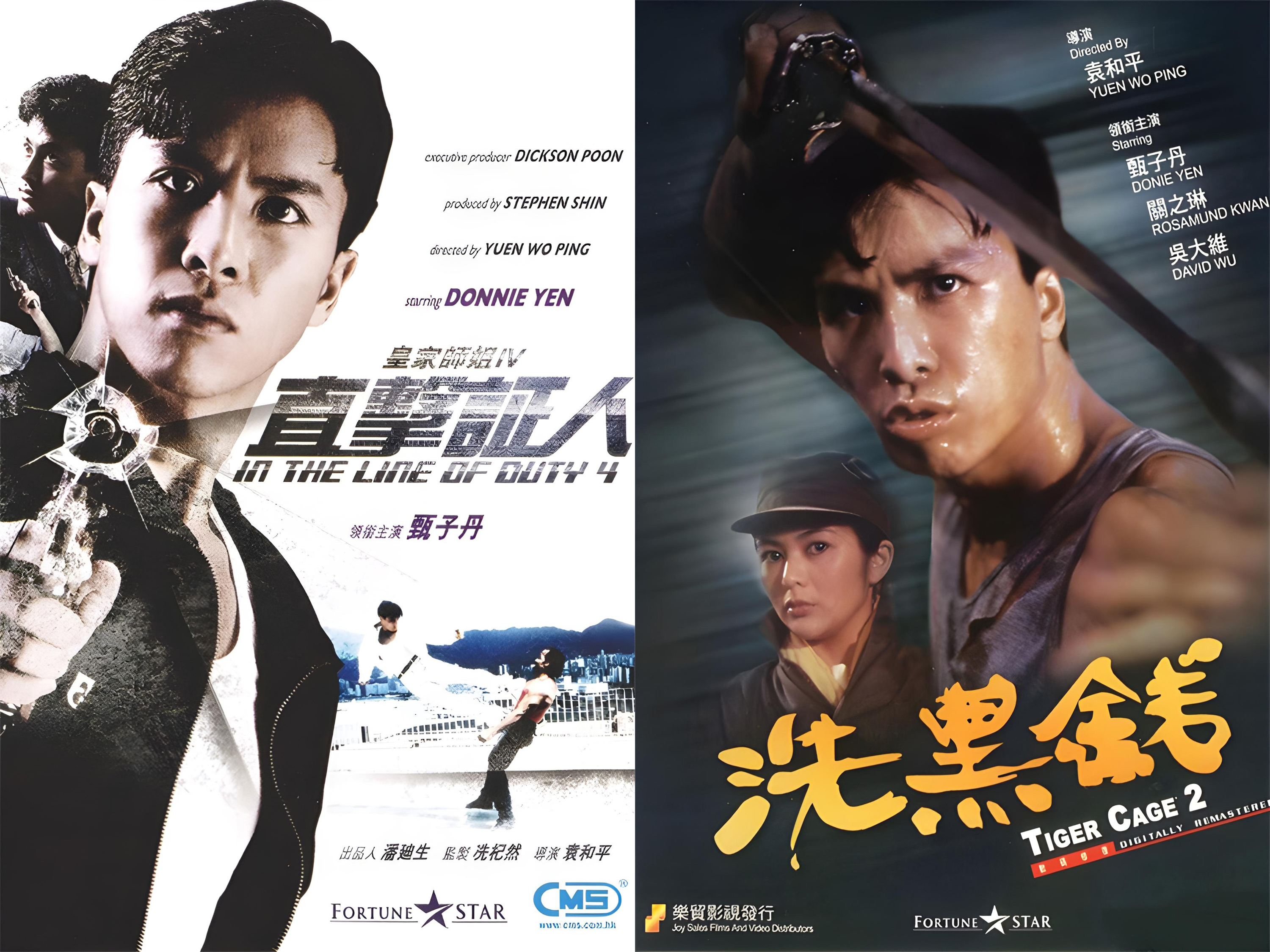 甄子丹十大动作电影,火爆不容错过!