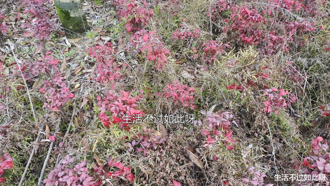 年轻人必读：人生90%的财富都是40岁以后才赚到的，抓紧时间学会