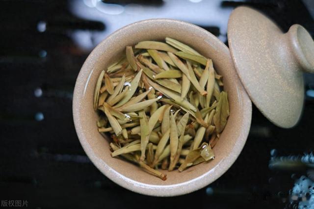 什么是“白茶”?福鼎白茶、安吉白茶是正宗白茶?哪里的最好喝?