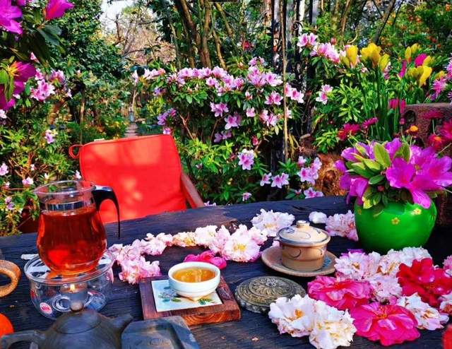 杨丽萍的“院子”火了,圈粉无数人,网友:这才是“人间仙境”!