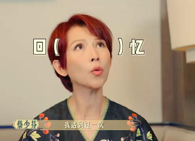 刘德华|蔡少芬综艺节目自曝背刺经历，拍戏遭遇小人，娘娘团为此打抱不平