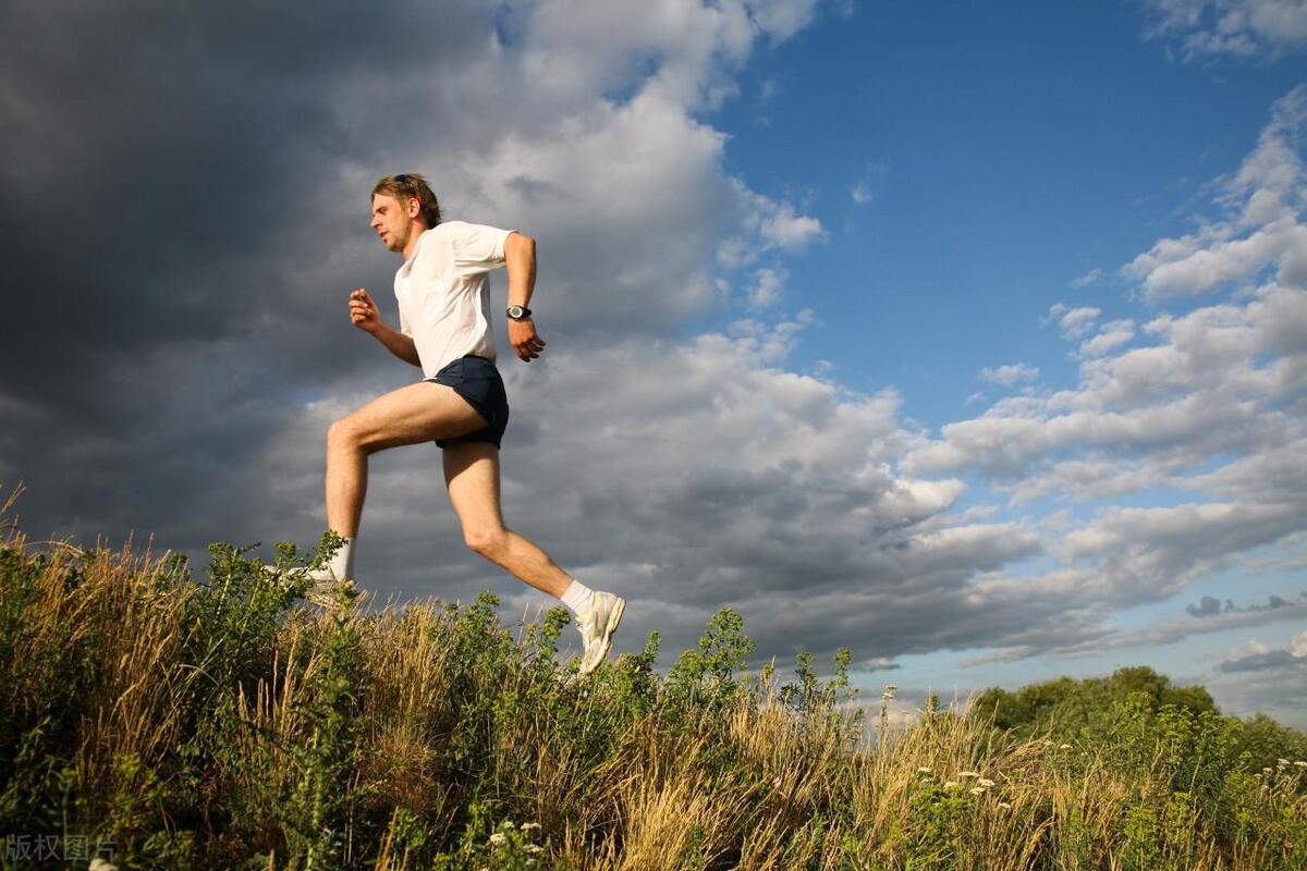 每天跑步，有一天突然不跑了，身体会发生什么变化？