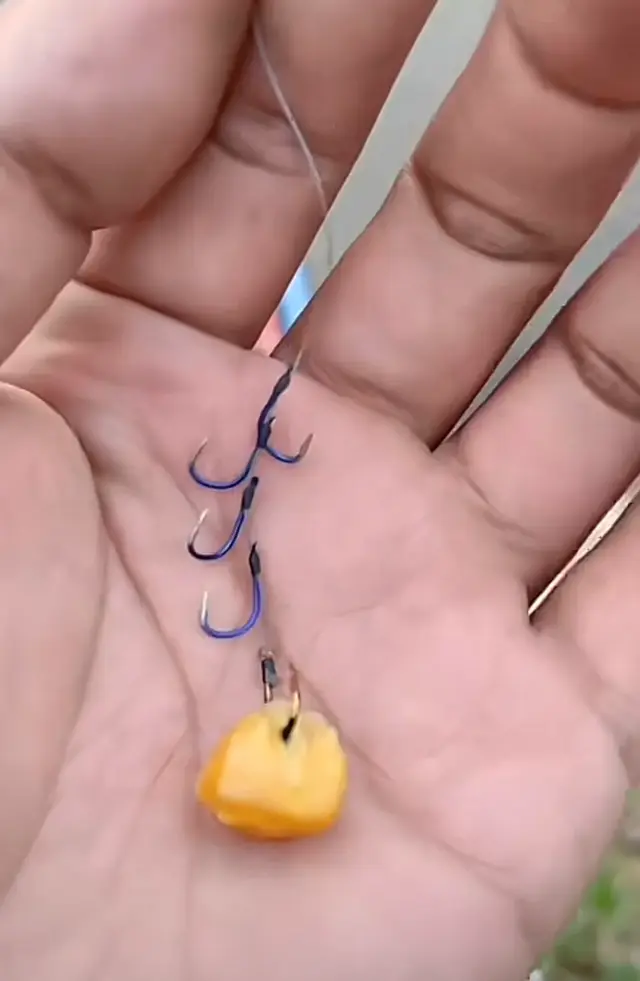 钓大鱼最歹毒的钓法！大鱼粘钩就走不掉！鱼钩的全面解析！就是狠