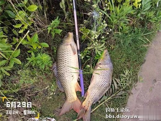 怒魂一出，谁与争锋