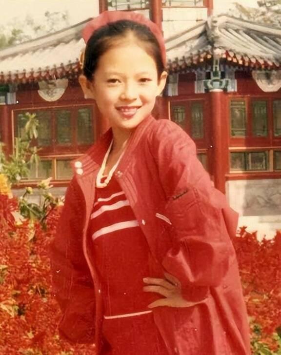 章子怡被嘲“飞机场”?胸口快要沉到肚子了,谁给的勇气抢C位?