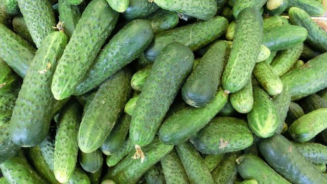 打了激素的黄瓜如何辨认？菜农：牢记4点，保准买不到激素黄瓜！