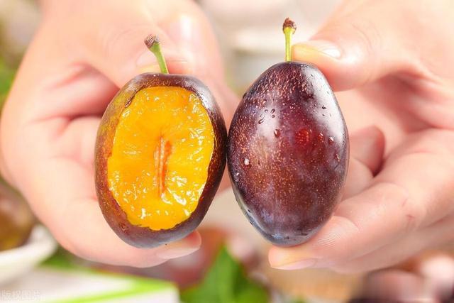 西梅是肠道的清洁工？主任医师强调：想肠道通畅，多吃这些蔬果