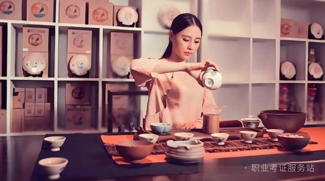 每天一个新职业——茶艺师(人社部第三方等级证书)