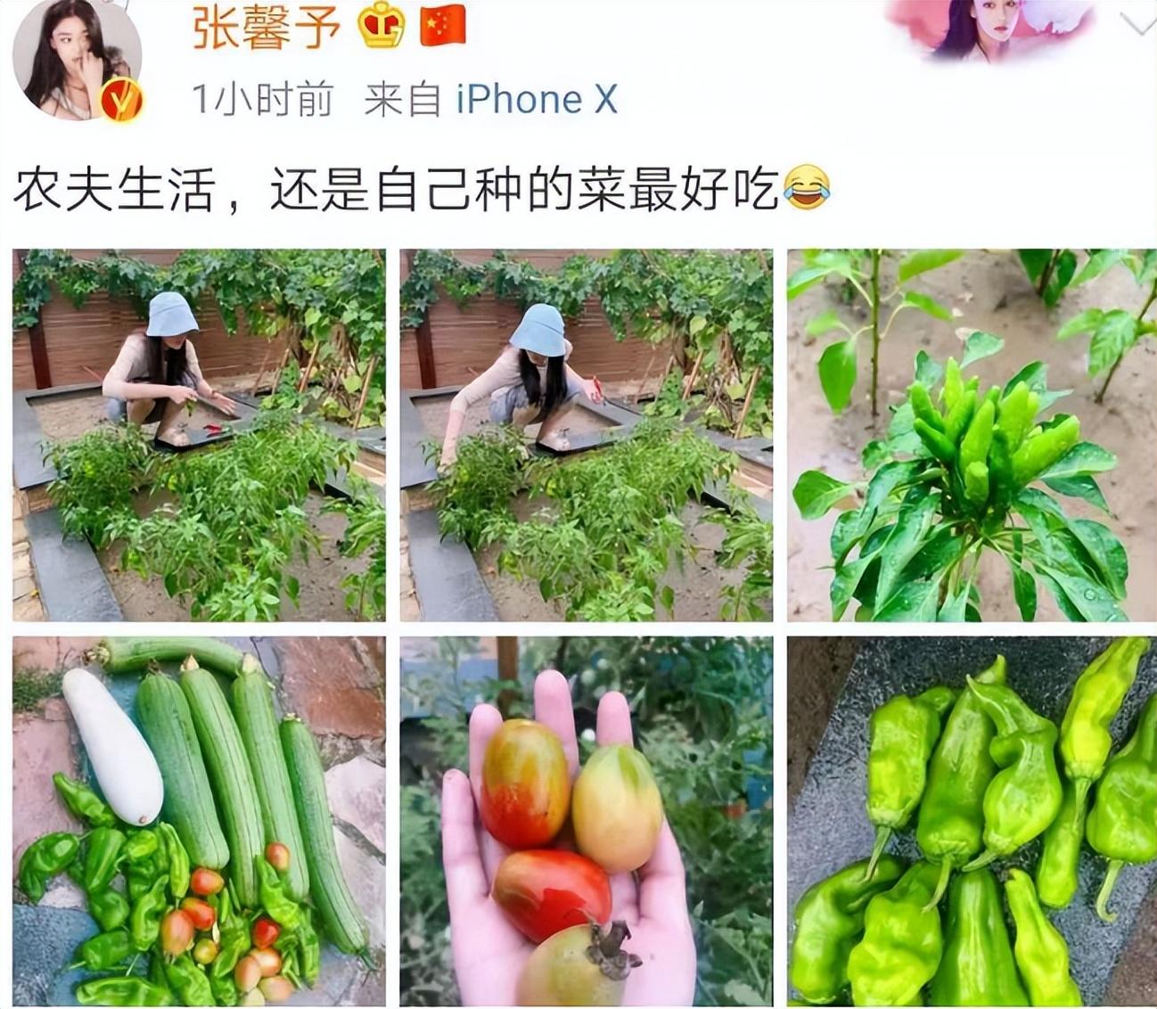 张馨予的4000万豪宅,因“满院的鲜花果蔬”走红,让人向往!