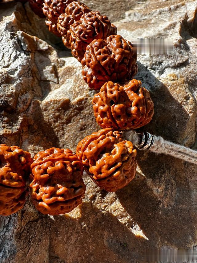 到底什么样的手才适合玩树仔文玩