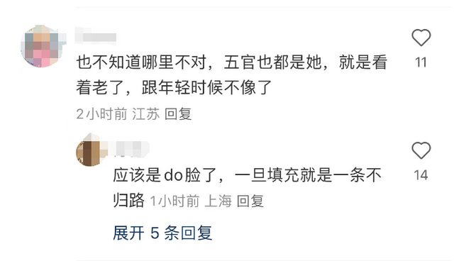 王祖贤穿着邋遢现身温哥华:“蛇精”下巴大肥肚,手夹皮包像土豪