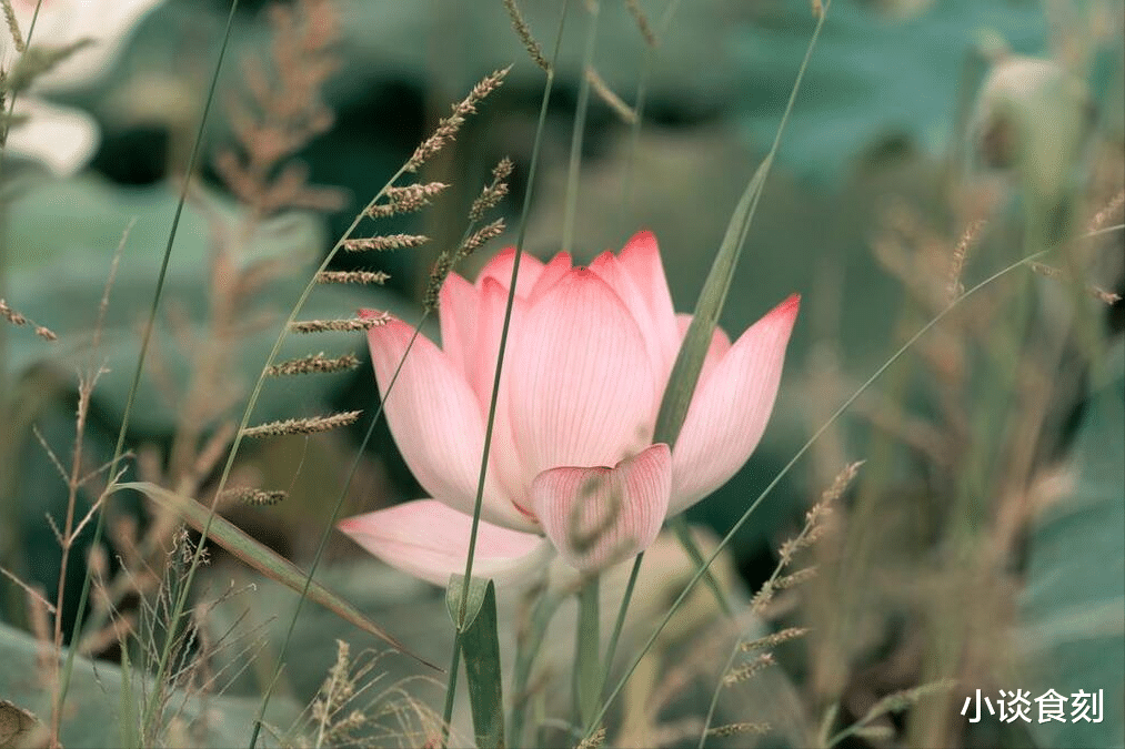 “暑后三不吃,秋来病不找”,处暑之后,3不吃指啥?要懂得忌嘴