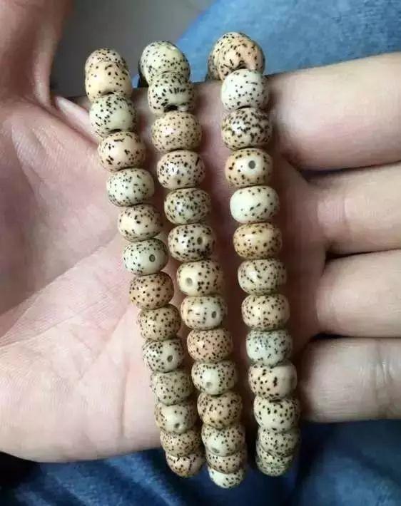 都是一样的串，凭啥我就盘不出来！