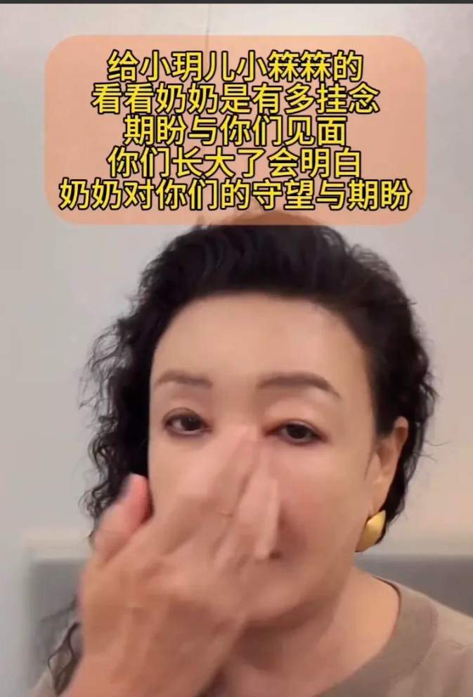 张兰赴台看孙子惨遭拒绝，她这奶奶其实很苦，大S的聊天记录曝光