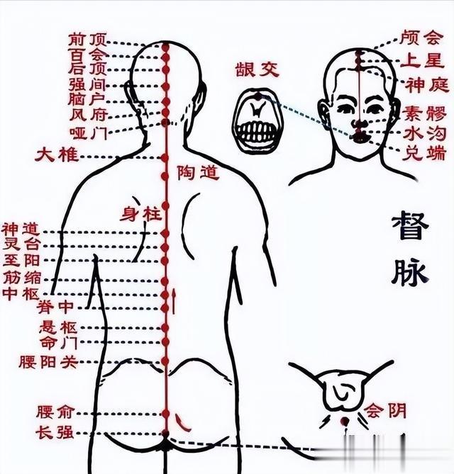 三伏天晒背，能治大病，但是晒背之后，要喝点它，不是水