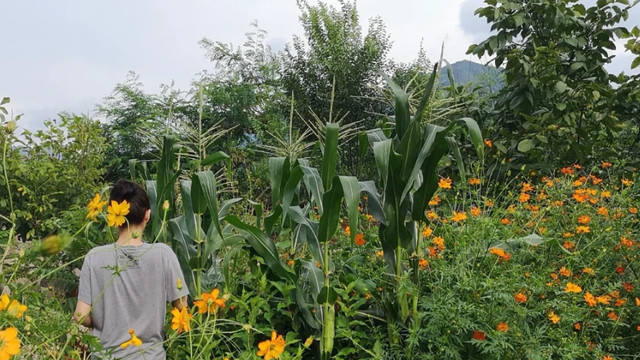 殷桃的豪宅火遍全网：花海、果树、自在的生活，让百万人羡慕！