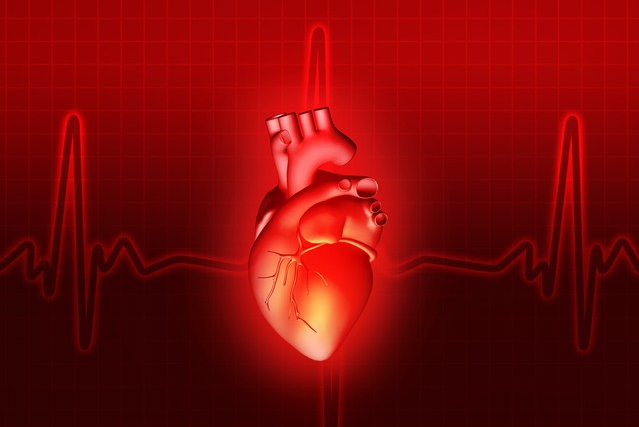 世上本无病,只因瘀堵在作祟!教你通一身经络,横扫血瘀 气郁 痰瘀