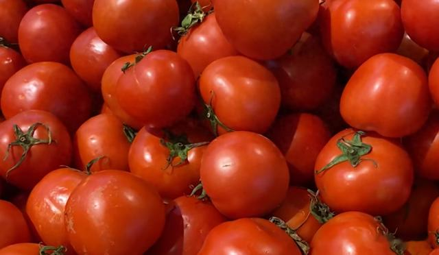 西红柿别只挑红的买!牢记4招,挑选的西红柿新鲜肉厚,酸甜多汁