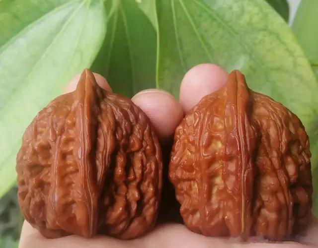 文玩爱好者炫耀攻略