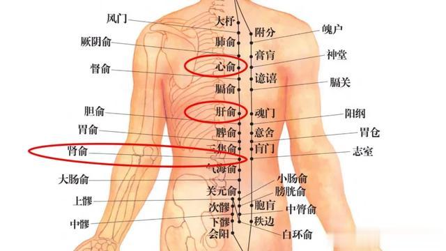 103岁妇科老中医透露：两种食物我从来不吃！6条一辈子的养生秘笈