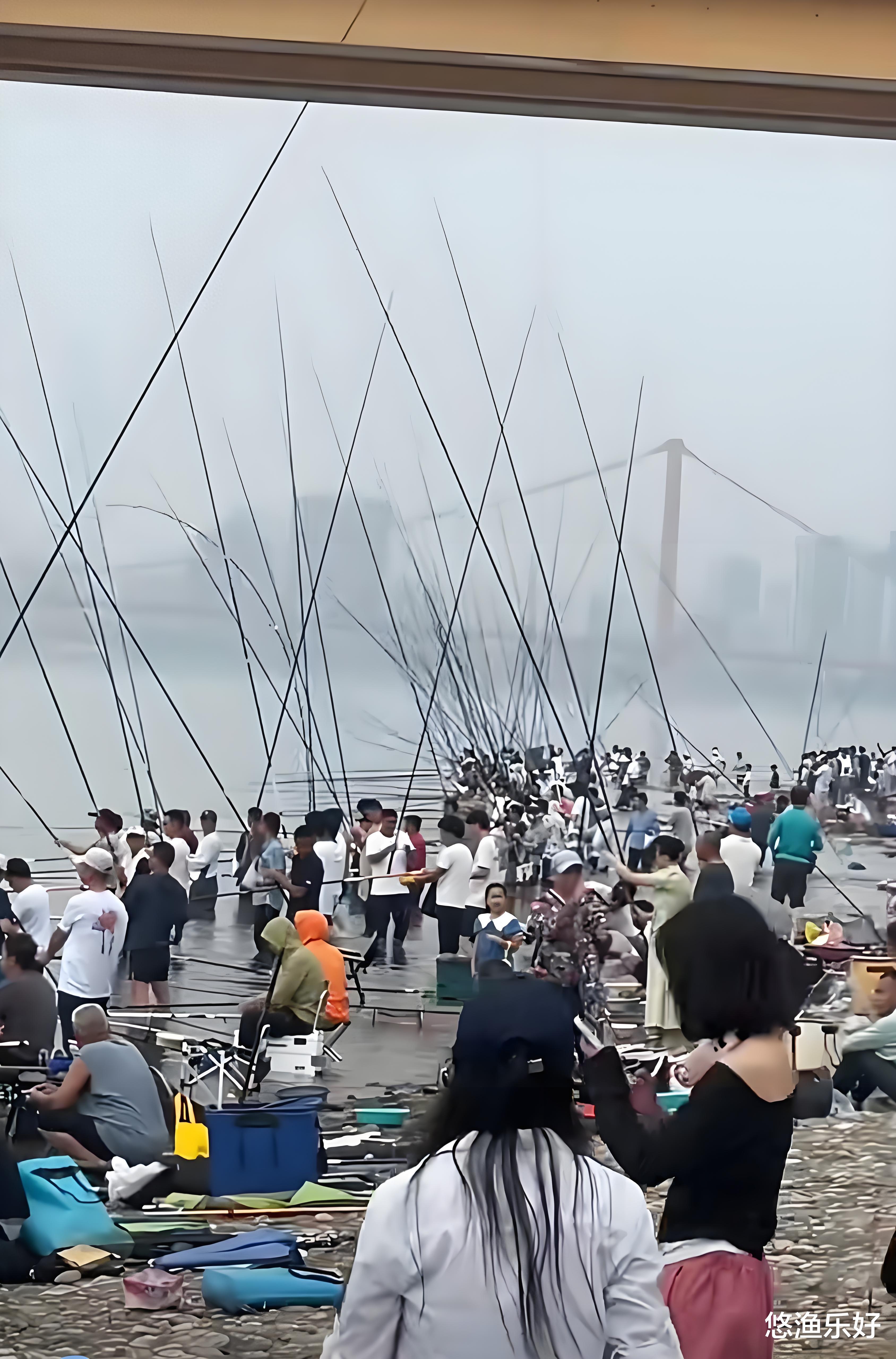 说说钓鱼的那些事！钓友们，你是不是和我一样也深有感触？