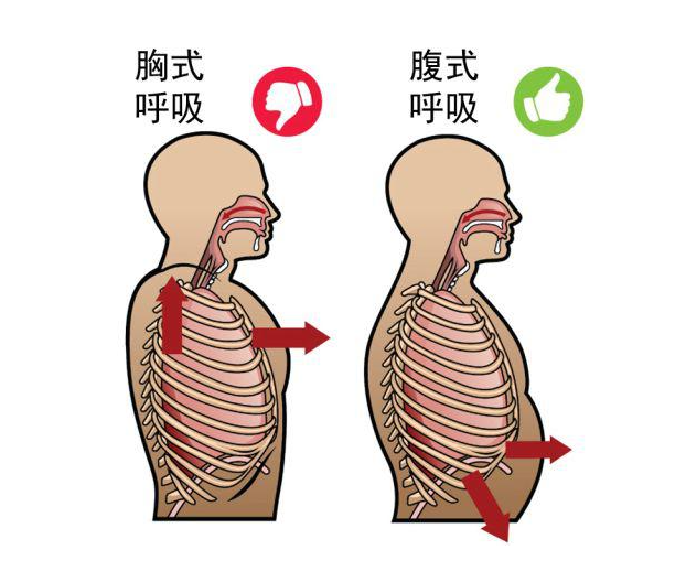 站桩时不要主观的干预呼吸，自然的才能养你