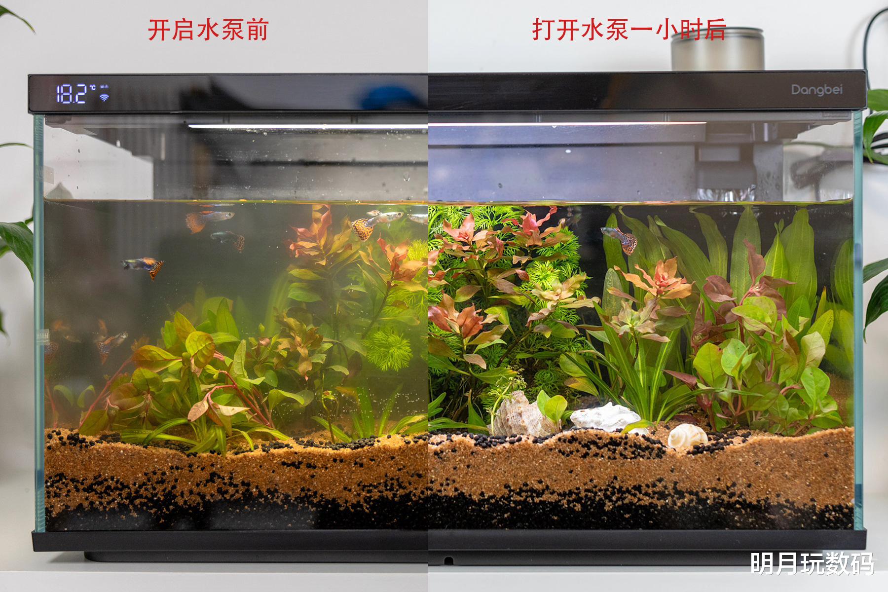 懒人养鱼利器,有了当贝智能鱼缸1Ultra,小白造景也轻松