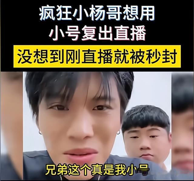 凉凉了？三只羊大楼牌子被摘，人去楼空，小杨哥用小号复出失败