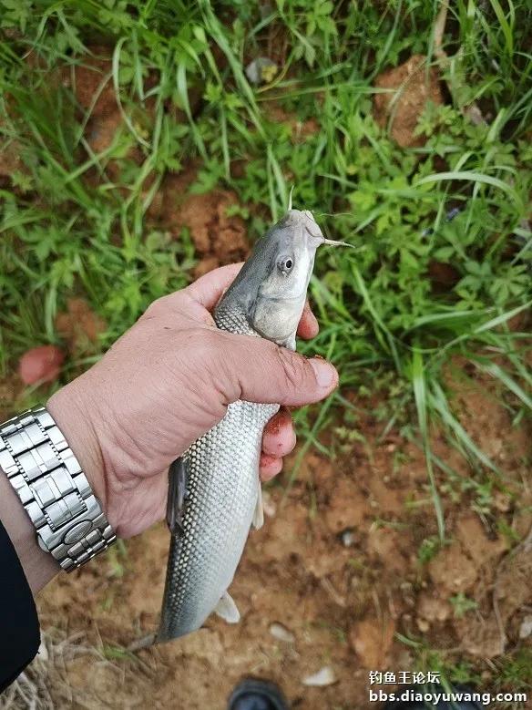 时间的雨滴