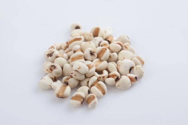 瘦不下来？总是反弹？中医帮你从根本上减肥！