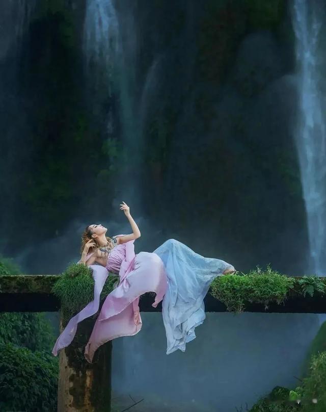 胖猫的悲剧带给职场年轻人们的启示