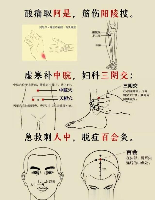 二十四总穴歌诀汇总，附穴位图解