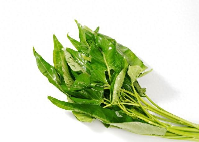 空心菜为何被称之为“抽筋菜”？到底还能不吃？爱吃的朋友该看看