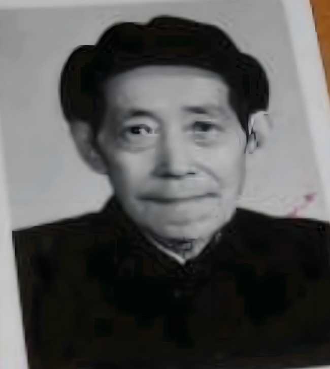 名老中医沈仲圭：将中西医融合，治愈疑难杂症，成就一代宗师