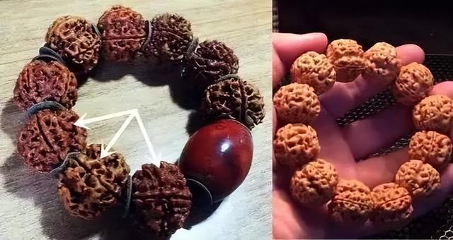 如何入手一条金刚菩提？