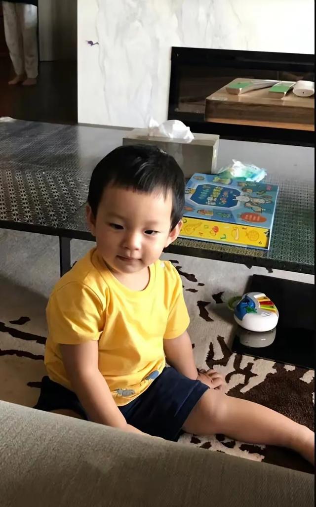 大S第一套婚房信息曝光,580平方米,总价6199万,已被黄春梅卖掉