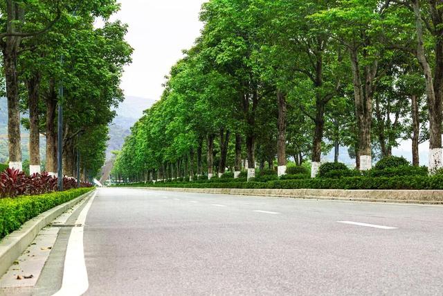 体制内能力强，为什么次次提拔都与你擦肩而过？六招破局成功在望