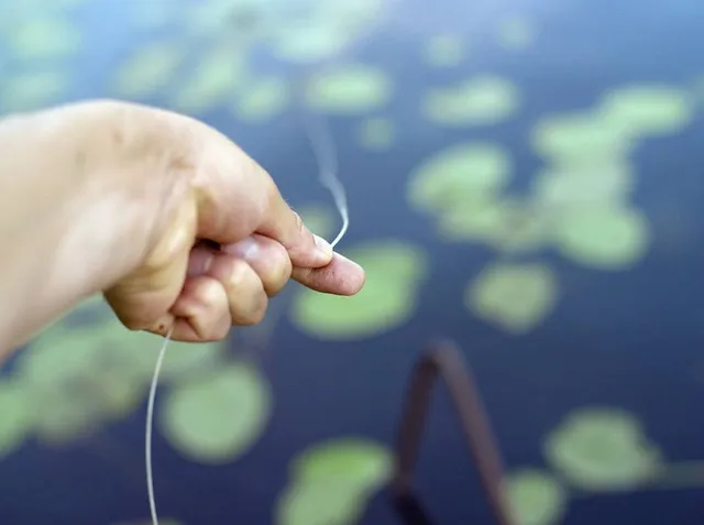 成为野钓高手的一条“捷径”——丰富的气象、水文和鱼类知识