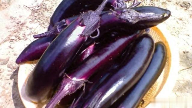 进入7月,少吃鸡肉和鱼肉,夏天就该吃这菜,全身是宝,味道鲜美