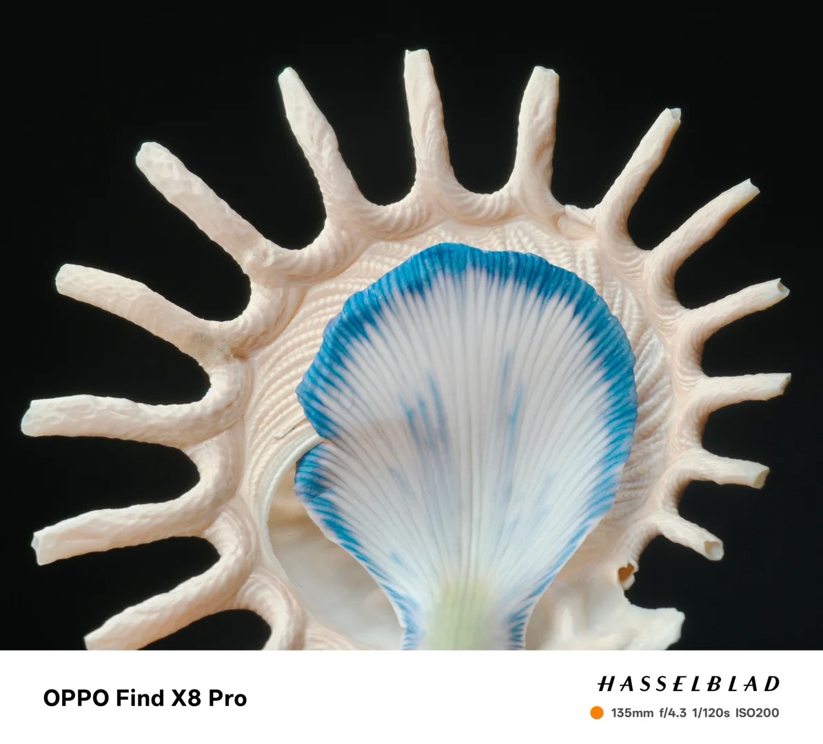 同档唯一双潜望长焦，影像体验升级！