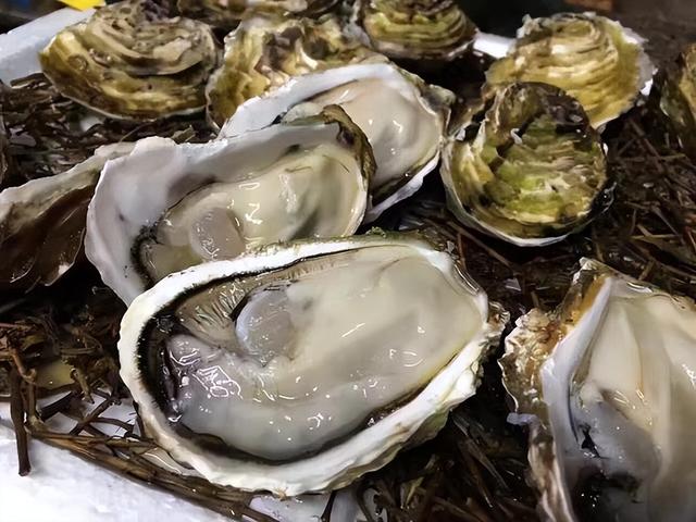 明明长得都一个样,为啥一个叫生蚝,一个叫牡蛎?原来差别在这!