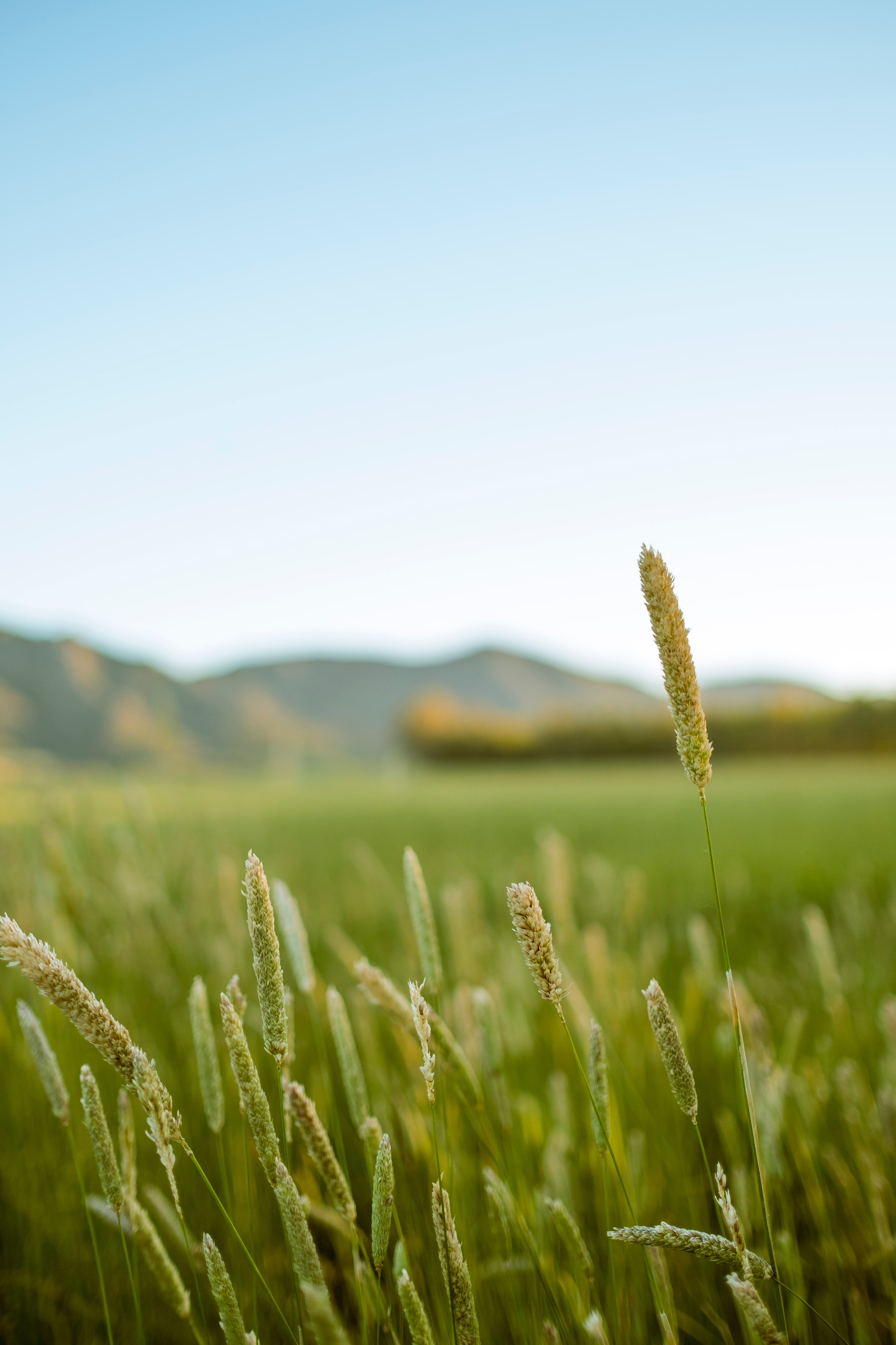 看过50+“短发妈妈”的穿搭,才明白:女人直面衰老,比装嫩更高级、耐看!