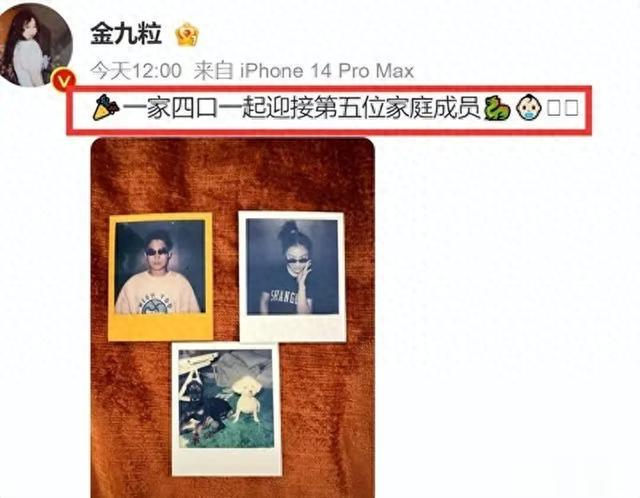 又是未婚先孕!31岁金靖官宣怀孕,评论区炸锅,男方多重身份被扒