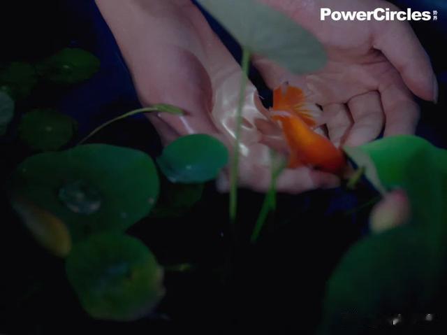 “宝儿姐”李宛妲全新杂志大片，古宅深处精灵少女眉目如画