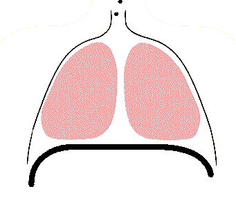 站桩(打坐)呼吸有道,学会后妙不可言!